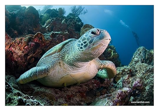 Photograph Big T. by Andrey Narchuk on 500px