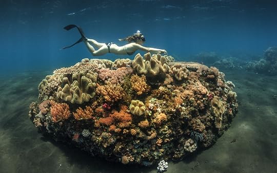 Photograph Nymph in the water #3 by Parnupong Norasethkamol on 500px