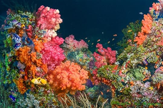 Photograph Pick your Color by Gabriel de Leon on 500px