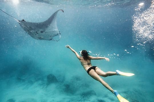 Photograph Manta by Evelyn Pritt on 500px