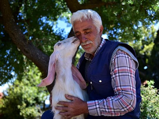 Man and goat in Turkey