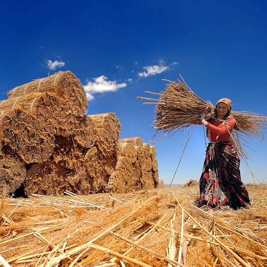 Turkish field worker