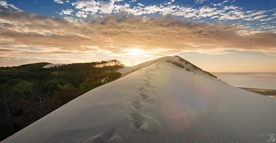 Forest / Dune / Ocean by Jean-Philippe Bellon on 500px.com