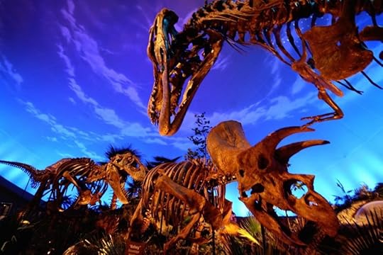 indy-childrens-museum