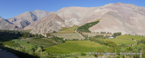 Elqui Valley Panorama
