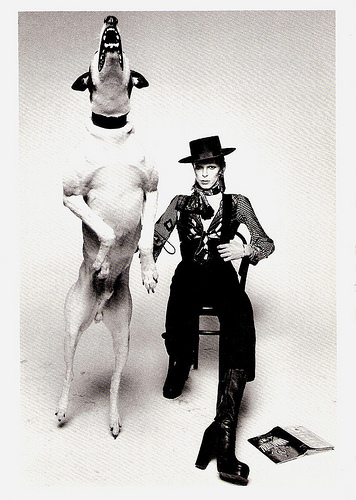 David Bowie