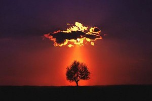 EngulfmentORAbandonment-peopletools