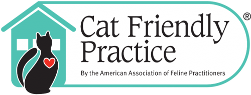 Cat_Friendly_Practice