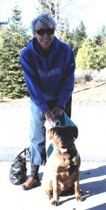 ????????????????????????????????????