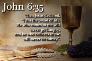 John 6