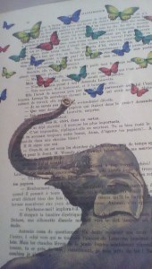 IMG_20160106_160537 (1)