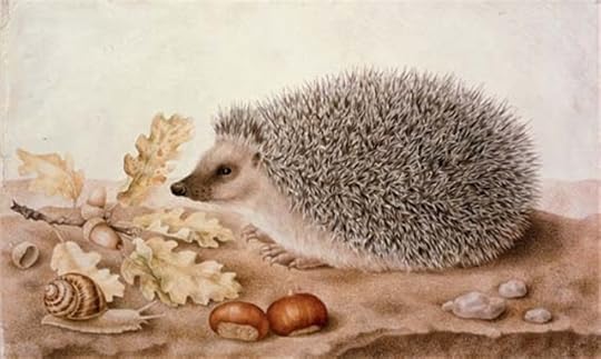 Giovanna Garzoni, A hedgehog in a landscape.jpg