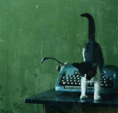 cat-green-typewriter