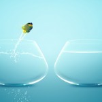 courage-in-business
