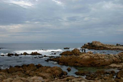 12417941_10208460604973803_7822561552047879214_n