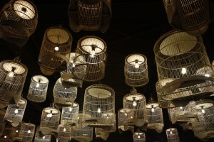 flash fiction idea cages