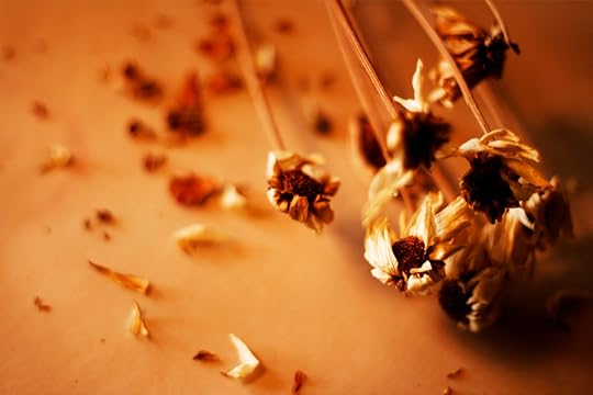 dried flowers