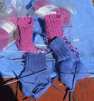 Blue and Rose socks 12-13-16