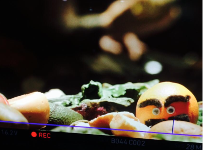 Mr. Orange snap compliments of Matti Huhta