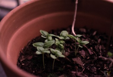 Photography by David Yarde