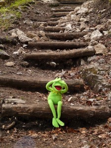 Kermit doesn't like extra words in sentences either.