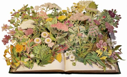 Flowering Plants of Great Britain by Kerry Miller