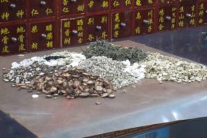 My medicine taking shape