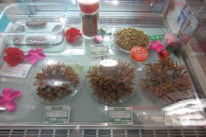 Cucumber and Dong Chong Xia Ciao