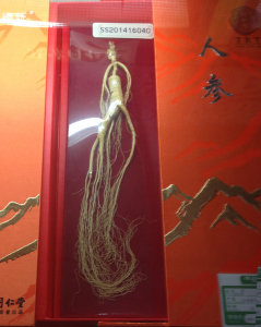 Shan Shen >> Mountain Ginseng