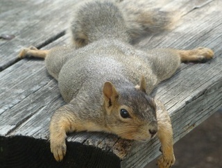  photo image_zps7xtx3hhc.jpeg