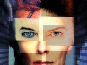 bowie pic