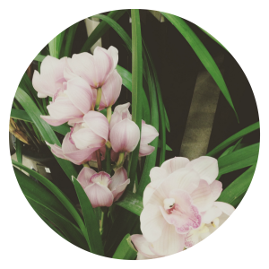 flower2