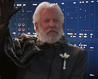 Darth Snow