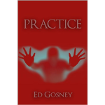 Book logo of Practice