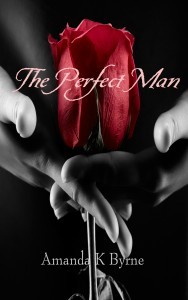 The Perfect Man option 1jpg