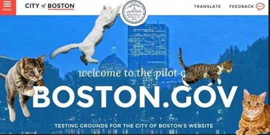 boston-cats