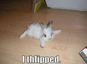 little-rabbit-slipped