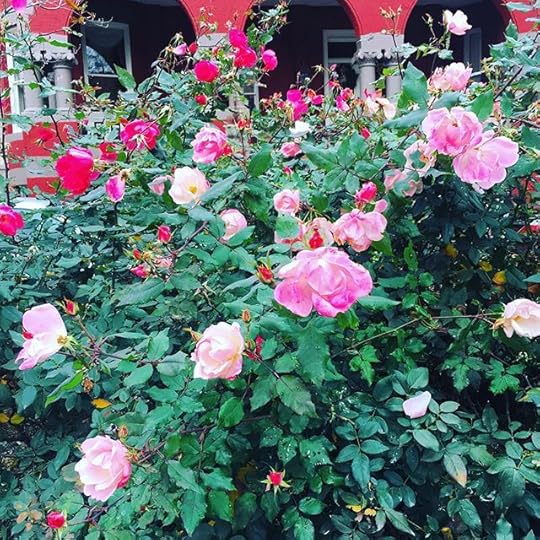 12446248_875950525837058_714191261_n