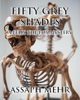 Fifty Grey Shades