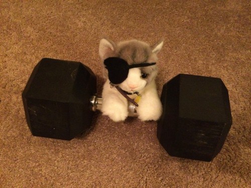 Being the supreme ruler of the world requires you to stay strong.