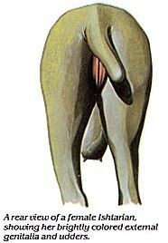  photo lion vajayjayjayjayjayjaaaaaaaaaaaaaaaaaaaaaaaaaaaay_zpssqjsthym.jpg