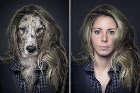 Image result for dogs mirror humans