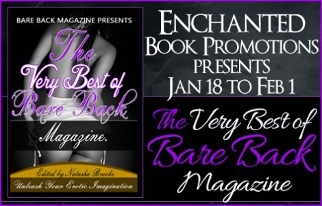 barebackmagazinebanner