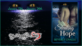 Stealing Hope Book Tour Banner