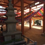 2016-01-05 14.07.05 HDR