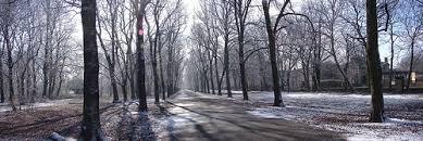 Image from www.photoree.com