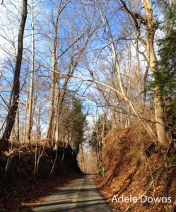 trailahead2 copy