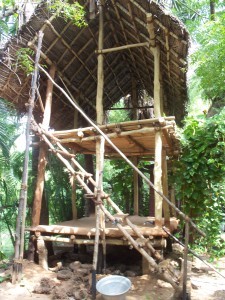treehouse