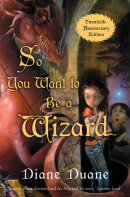 so you want to be a wizard