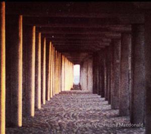 Photo Credit: Christine MacDonald